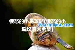 愤怒的小鸟攻略(愤怒的小鸟攻略大全集)