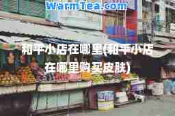 和平小店在哪里(和平小店在哪里购买皮肤)