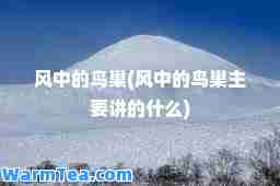 风中的鸟巢(风中的鸟巢主要讲的什么)