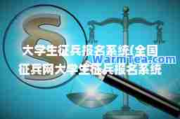 大学生征报名系统(全国征网大学生征报名系统)