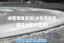冰雪奇缘豆瓣(冰雪奇缘豆瓣评分图片高清)