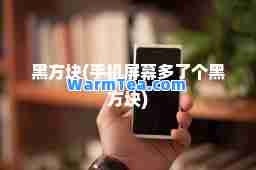 黑方块(手机屏幕多了个黑方块)