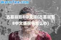 古墓丽影8中文版(古墓丽影8中文版很卡怎么办)