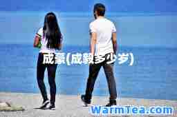 成豪(成毅多少岁)