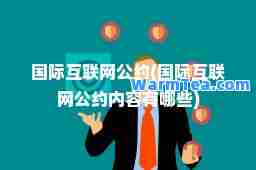 互联网公约(互联网公约内容有哪些)