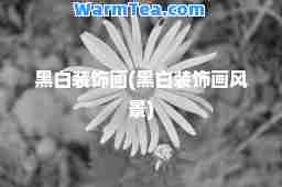 黑白装饰画(黑白装饰画风景)