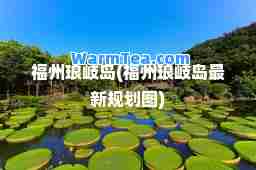 福州琅岐岛(福州琅岐岛规划图)