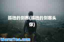 孤独的剑客(孤独的剑客头像)