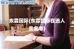 东霖(东霖在逃人员名单)