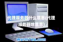 代理服务器什么意思(代理服务器啥意思)