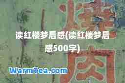 读红楼梦后感(读红楼梦后感500字)