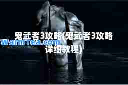 鬼武者3攻略(鬼武者3攻略详细教程)