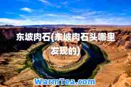 东坡肉石(东坡肉石头哪里发现的)
