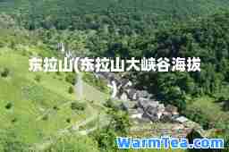 东拉山(东拉山大峡谷海拔)