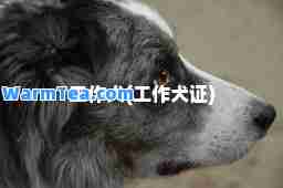 工作犬(工作犬证)