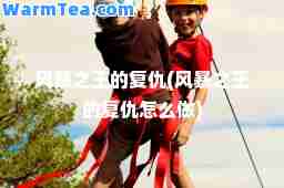 风暴之王的复仇(风暴之王的复仇怎么做)