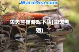功夫熊猫游戏下载(功夫熊猫)