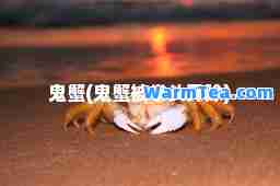 鬼蟹(鬼蟹被拳头开除)