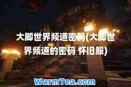 大脚世界频道密码(大脚世界频道的密码 怀旧服) 大脚世界频道密码(大脚世界频道的密码 怀旧服)