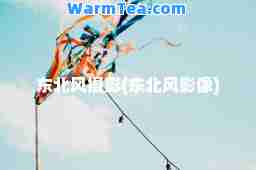 东北风摄影(东北风影像)