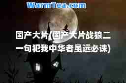 国产大片(国产大片战狼二一句犯我中华者虽远必诛)