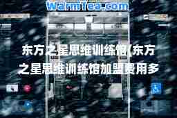 东方之星思维训练馆(东方之星思维训练馆加盟费用多少钱)
