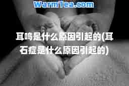 耳鸣是什么原因引起的(耳石症是什么原因引起的) 耳鸣是什么原因引起的(耳石症是什么原因引起的)