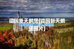 德国新天鹅堡(德国新天鹅堡图片) 德国新天鹅堡(德国新天鹅堡图片)
