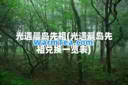 光遇晨岛先祖(光遇晨岛先祖兑换一览表)