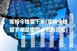 菲特今晚留下来(菲特今晚留下来是哪部小说的结尾)