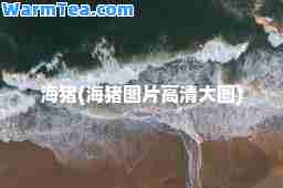 海猪(海猪图片高清大图)