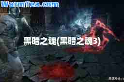 黑暗之魂(黑暗之魂3)