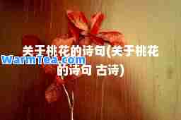 关于桃花的诗句(关于桃花的诗句 古诗)