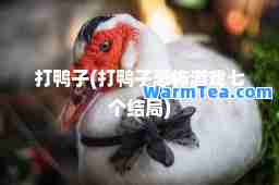 打鸭子(打鸭子恐怖游戏七个结局)
