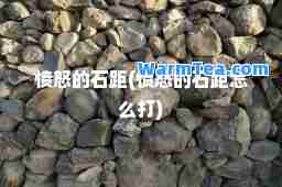 愤怒的石距(愤怒的石距怎么打)