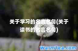 关于学习的名言名句(关于读书的名言名句)