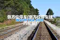 侧方位停车(侧方位停车技巧视频)