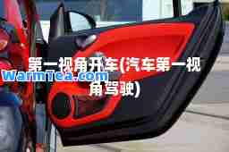 视角开车(汽车视角驾驶)