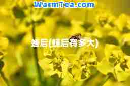 蜂后(蜂后有多大) 蜂后(蜂后有多大)