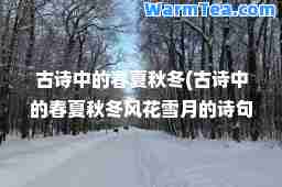 古诗中的春夏秋冬(古诗中的春夏秋冬风花雪月的诗句)