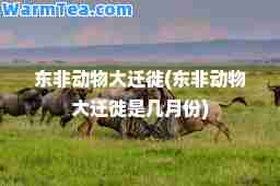 东非动物大迁徙(东非动物大迁徙是几月份)