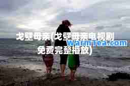 戈壁母亲(戈壁母亲电视剧免费完整播放)