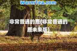 非常普通的鹿(非常普通的鹿未来版)