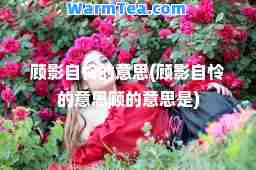 顾影自怜的意思(顾影自怜的意思顾的意思是)