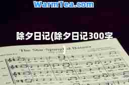 除夕日记(除夕日记300字)