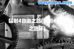 辐射4自由之路(辐射4自由之路环)