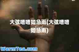 大弦嘈嘈如急雨(大弦嘈嘈如急雨)