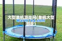 大型单机游戏网(单机大型游戏)