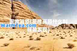 窦唯高原(窦唯高原什么时候被发现)