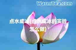 点水成冰(点水成冰的实验怎么做) 点水成冰(点水成冰的实验怎么做)